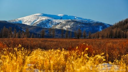 Бурхан Халдун уул 2026