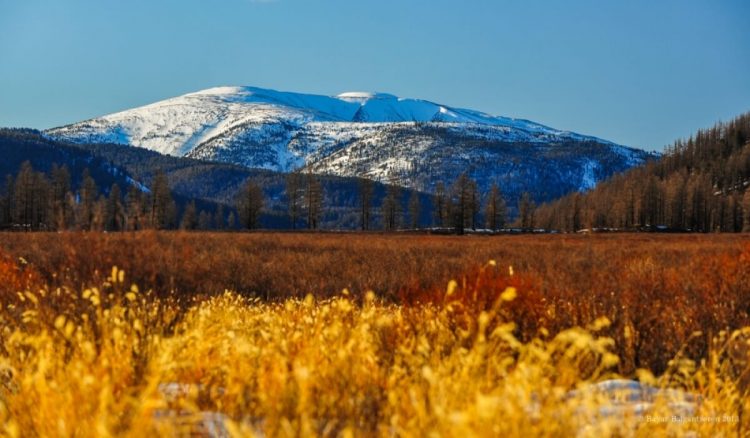 Бурхан Халдун уул 2026